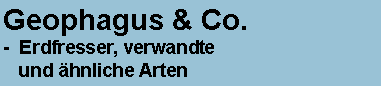Textfeld: Geophagus & Co.-  Erdfresser, verwandte   und hnliche Arten