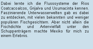 Textfeld: Dabei lernte ich die Flusssysteme der Rios Coatcacoalcos, Grijalva und Usumacinta kennen. Faszinierende Unterwasserwelten gab es dabei zu entdecken, mit vielen bekannten und weniger populren Fischgesichtern. Aber nicht allein die Fischdichte und Artenvielfalt unter den Schuppentrgern machte Mexiko fr mich zu einem Erlebnis.