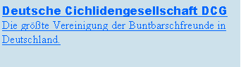Textfeld: Deutsche Cichlidengesellschaft DCGDie grte Vereinigung der Buntbarschfreunde in Deutschland.